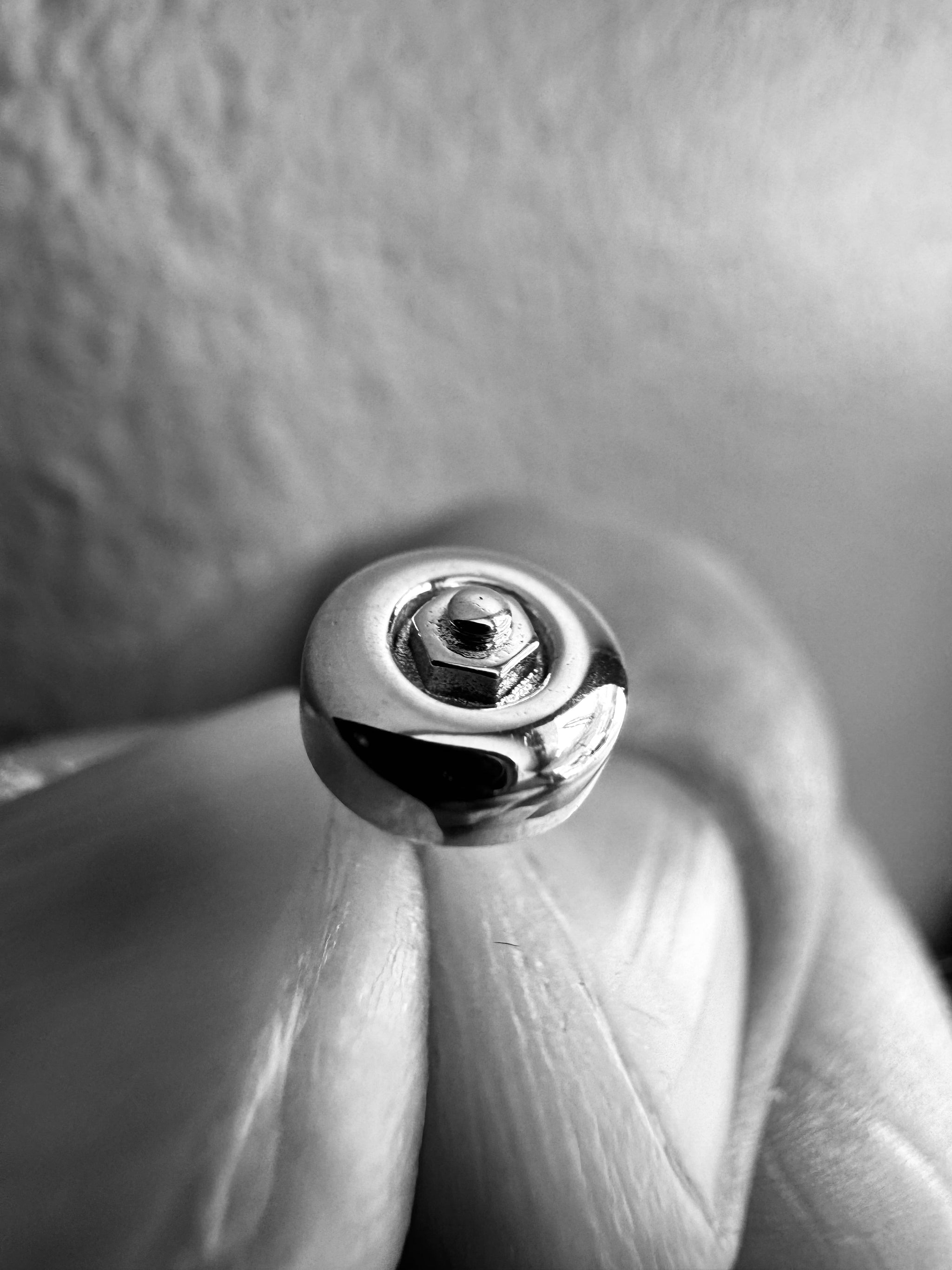 Skateboard Wheel Stud Earrings (Silver)